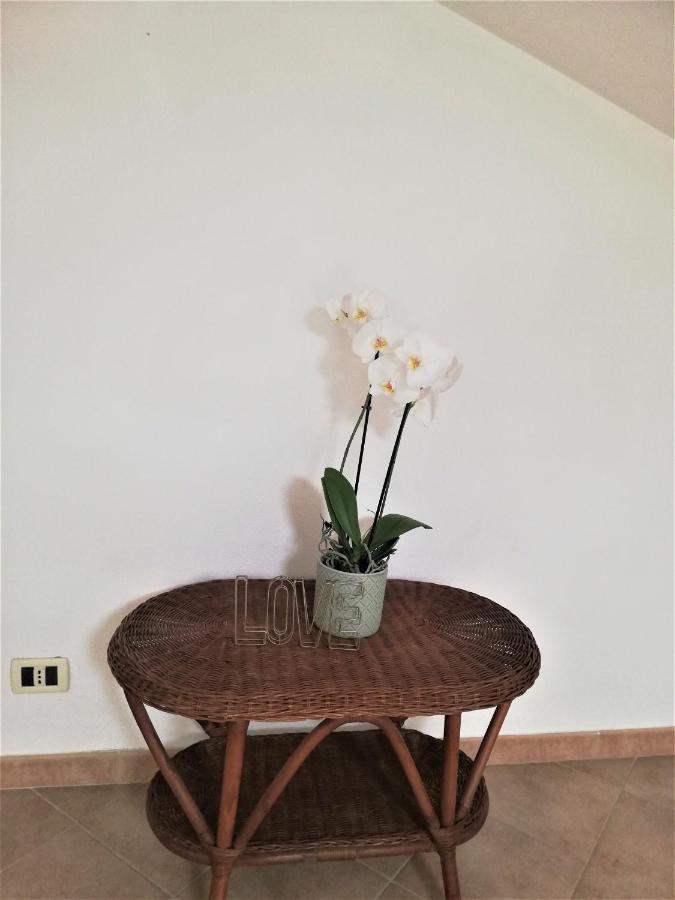 Cove - - 5 Terre Apartment Riomaggiore