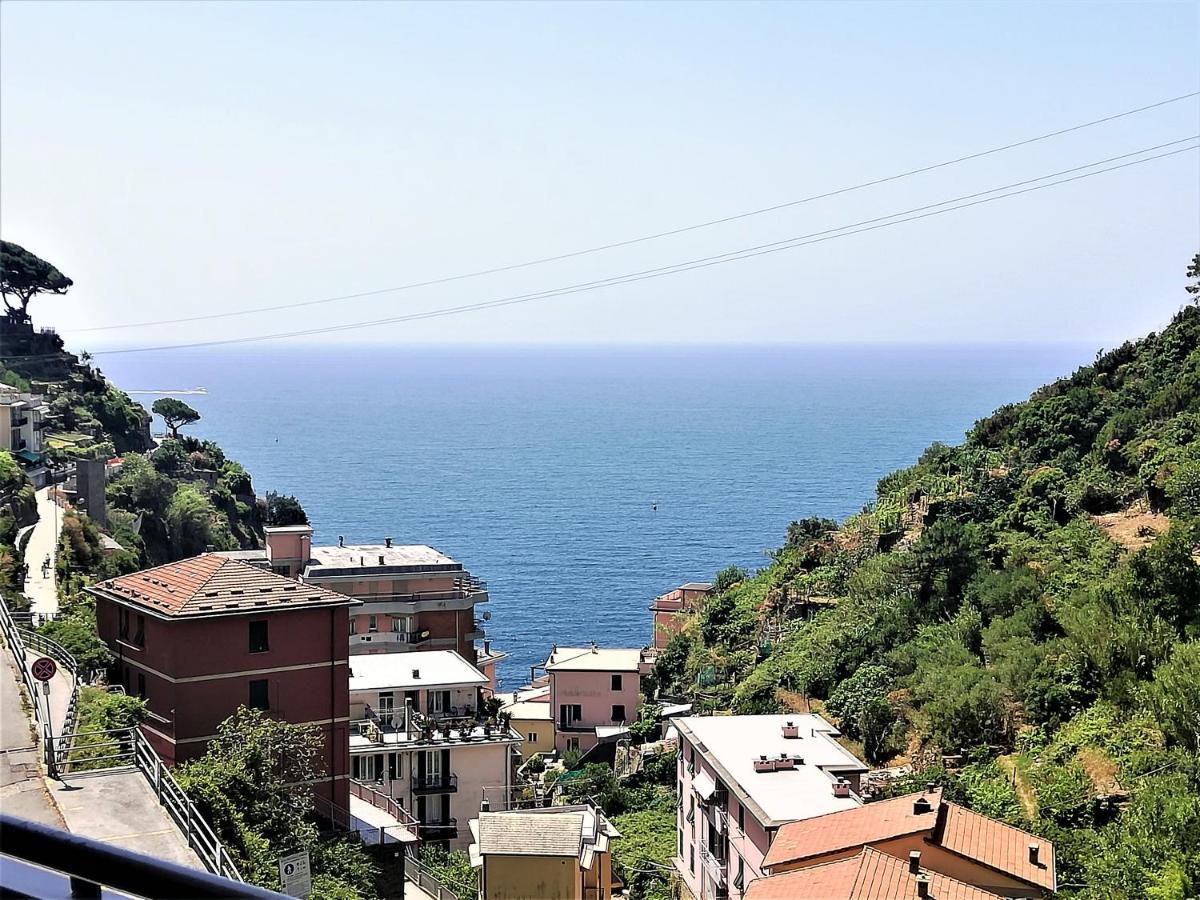 Cove - - 5 Terre Apartment